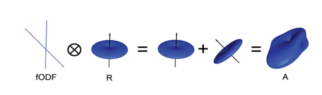 ../../_images/00_BasisFunction.png