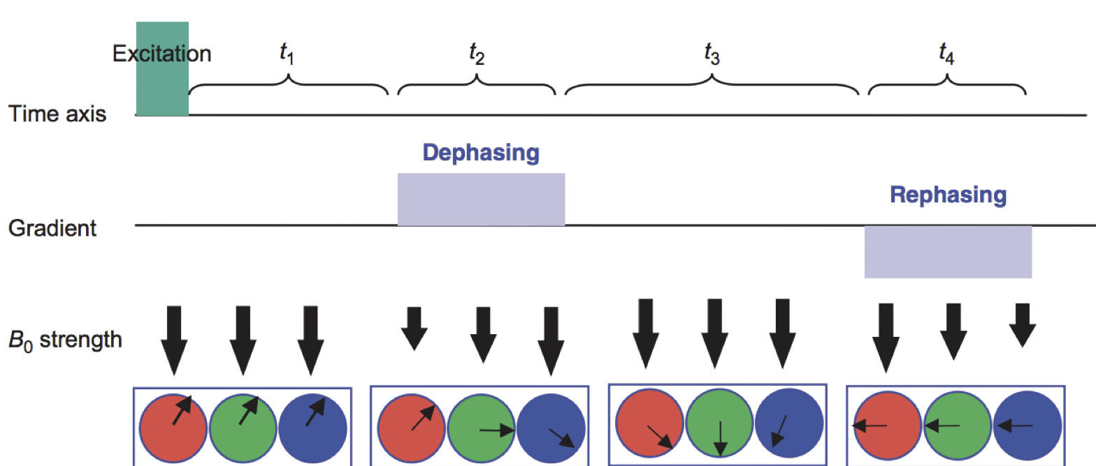 ../../_images/00_Dephasing_Rephasing_Gradients.png