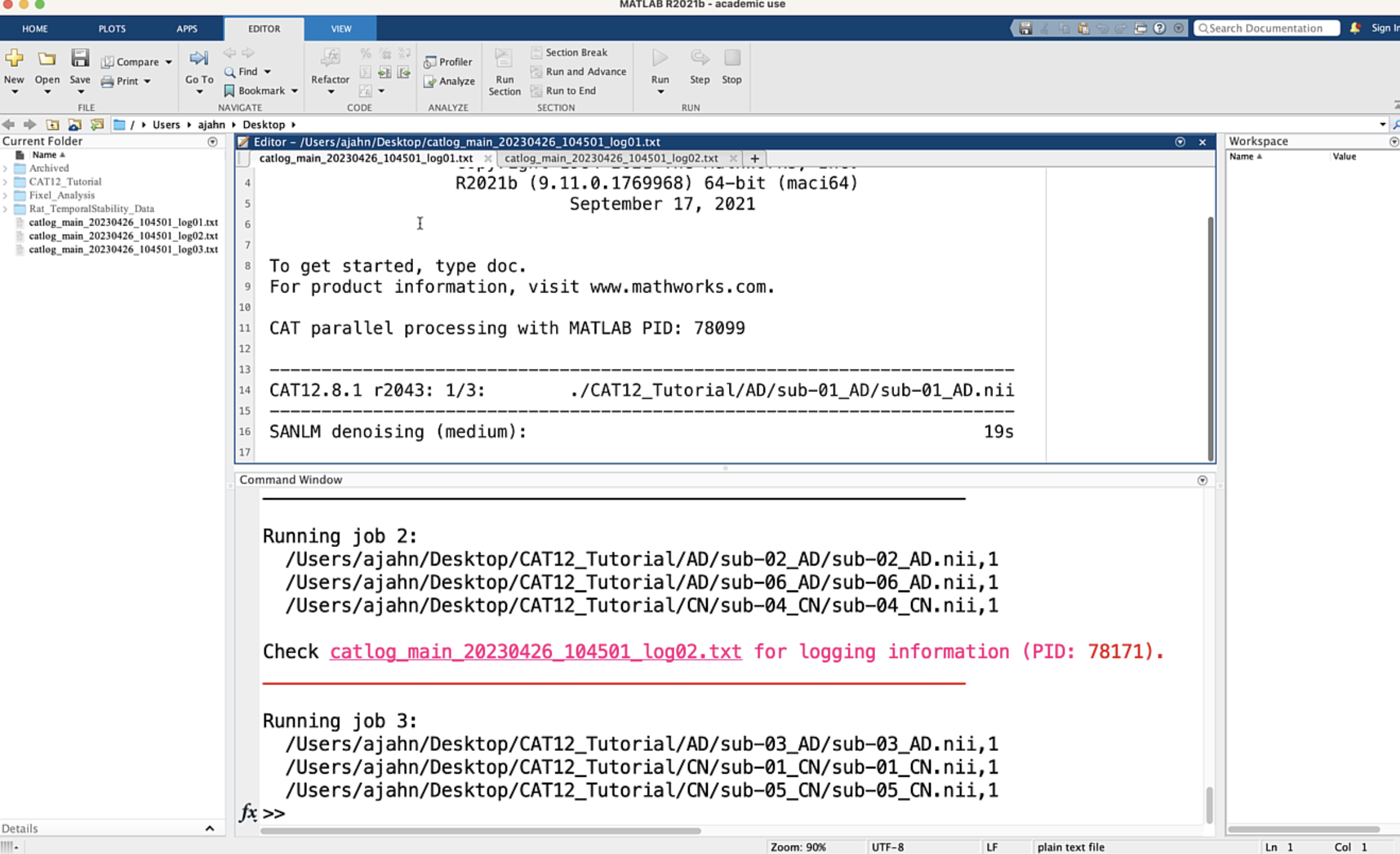 ../_images/03_CAT12_Preprocessing.png