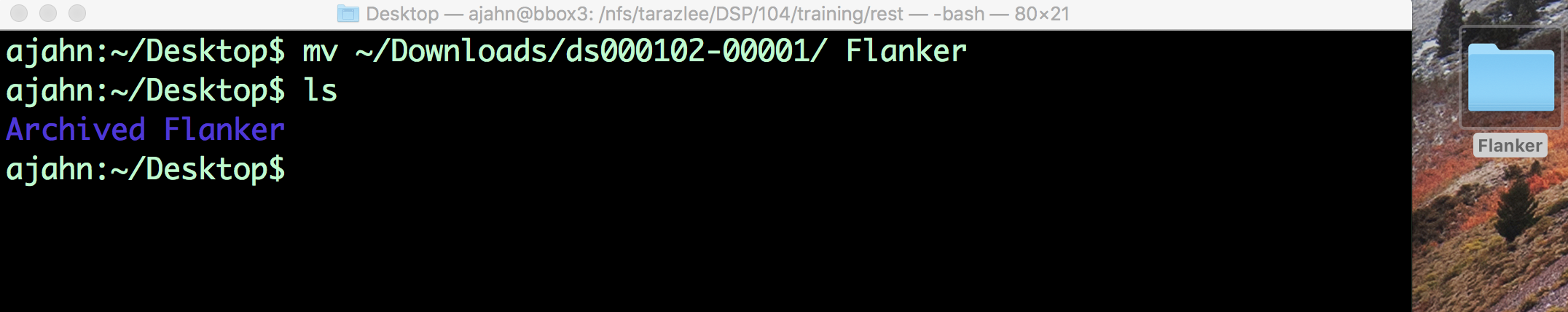 ../../_images/03_Move_Flanker_Folder.png