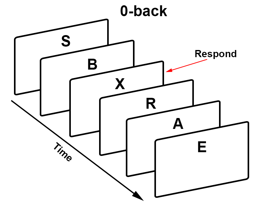 ../_images/03_WorkingMemoryTask_0back.png
