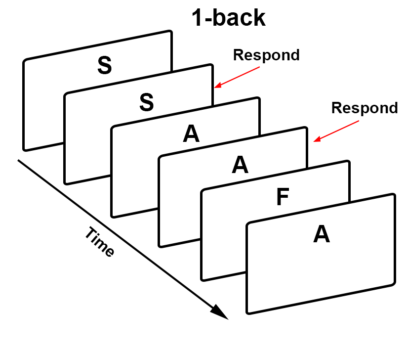 ../_images/03_WorkingMemoryTask_1back.png