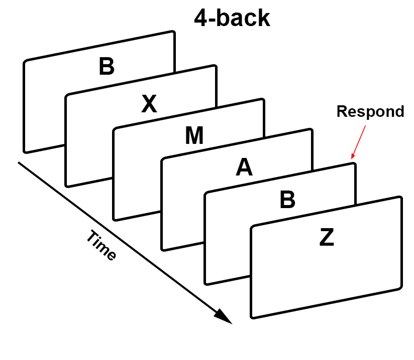../_images/03_WorkingMemoryTask_4back.png