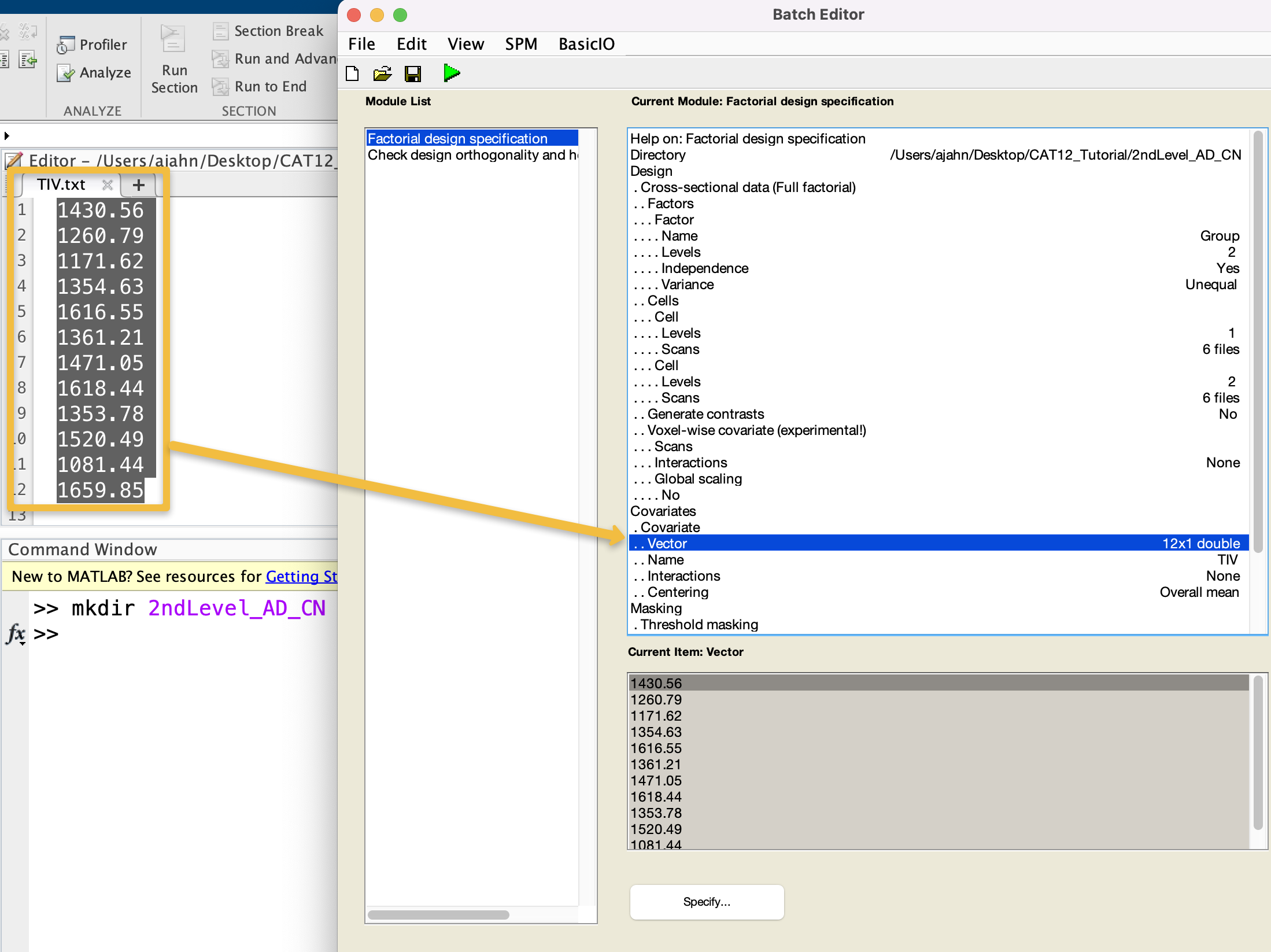 ../_images/04_CAT12_Analysis_Setup.png