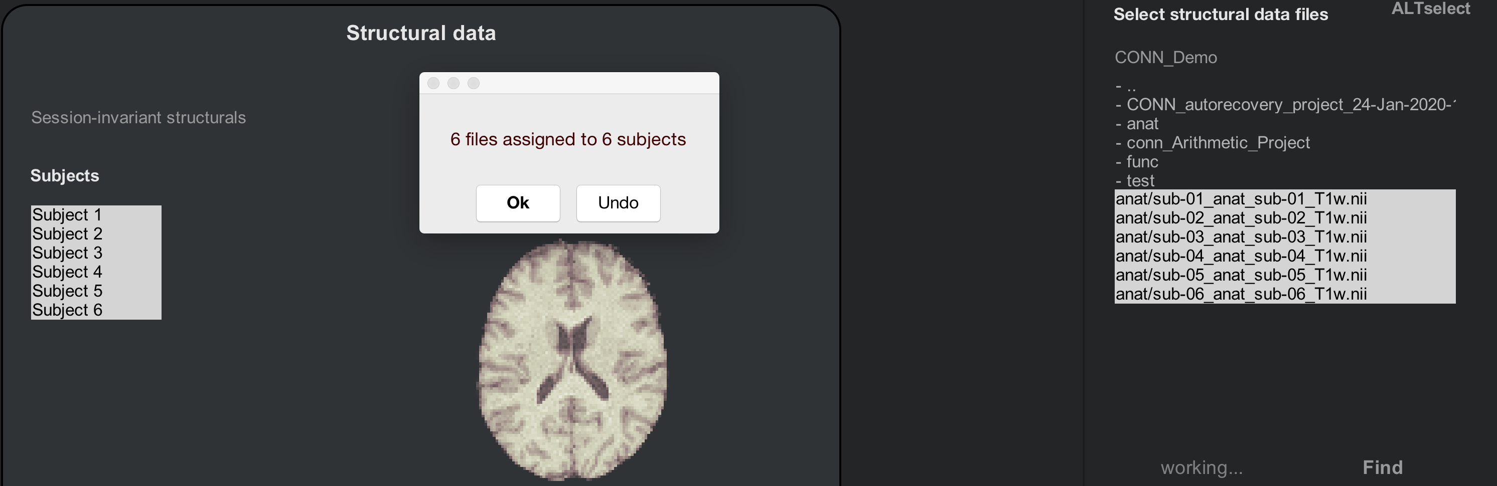 ../../_images/09_AnatomicalsSelected.png
