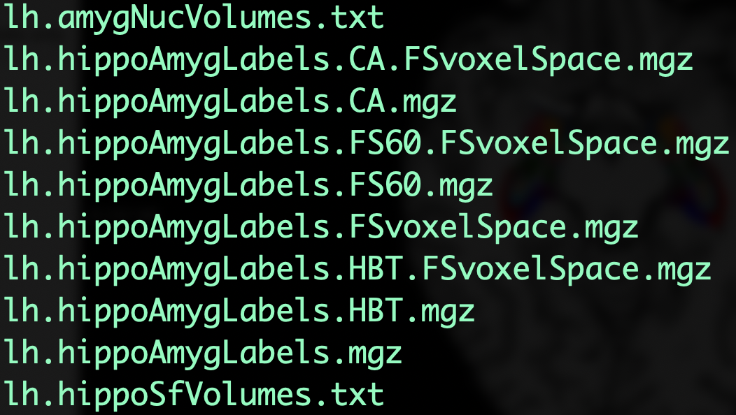 ../../_images/AppendixD_SegOutput_MRI.png