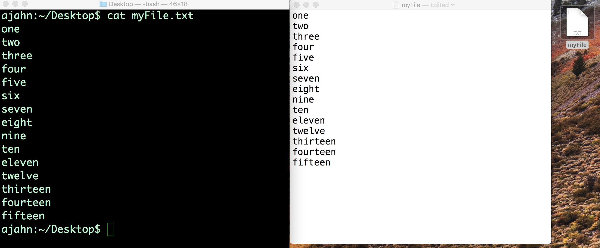 ../_images/Cat_File.png