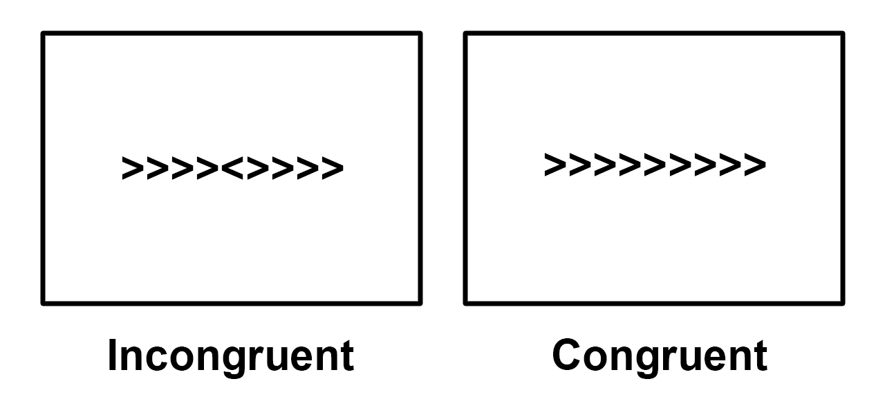 ../_images/Flanker_Example.png