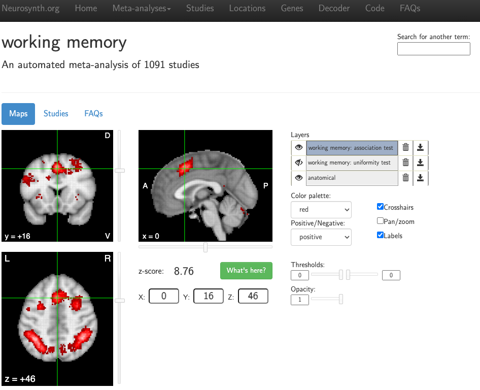 ../../_images/Neuroquery_03_NeurosynthExample.png